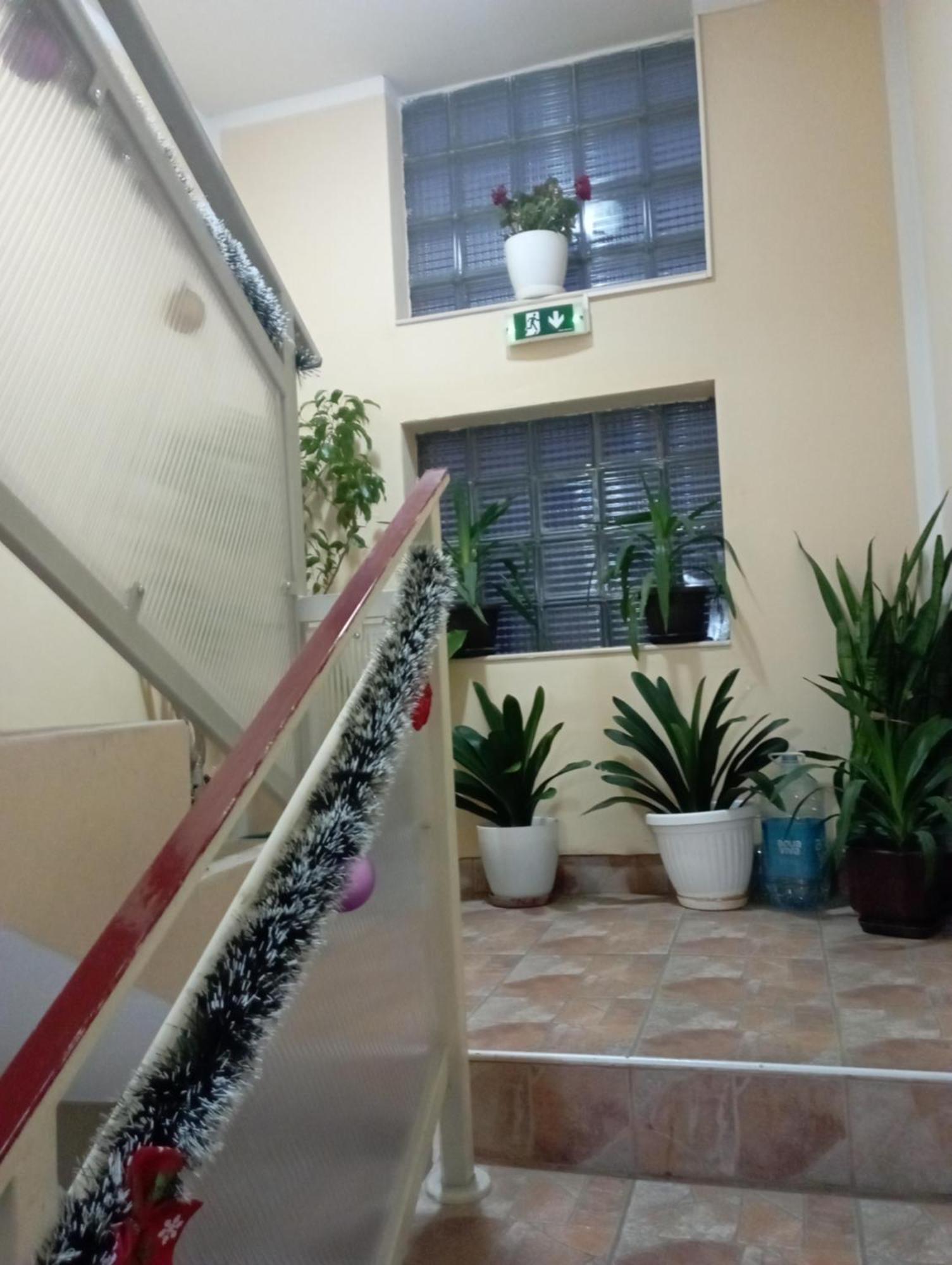 Apartments & Rooms -Mdl Lazic ベオグラード エクステリア 写真